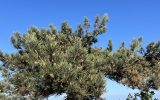 IMG_0406_1280