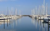 IMG_0454_1280