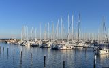 IMG_0558_1280